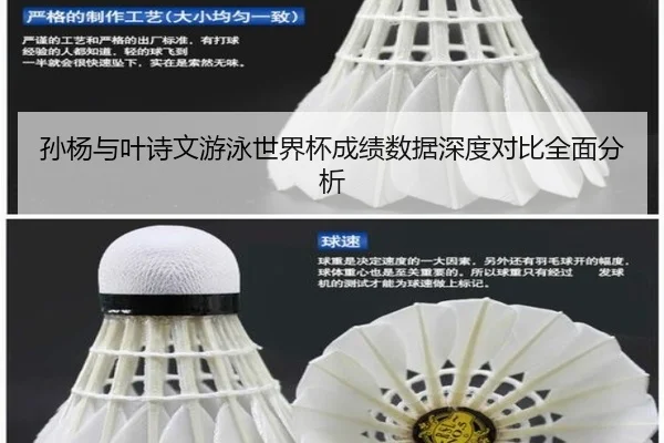 孙杨与叶诗文游泳世界杯成绩数据深度对比全面分析